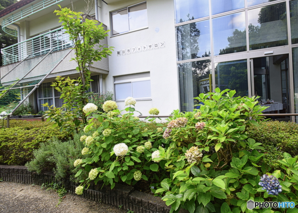 薬師池公園のお散歩（町田市フォトサロン）