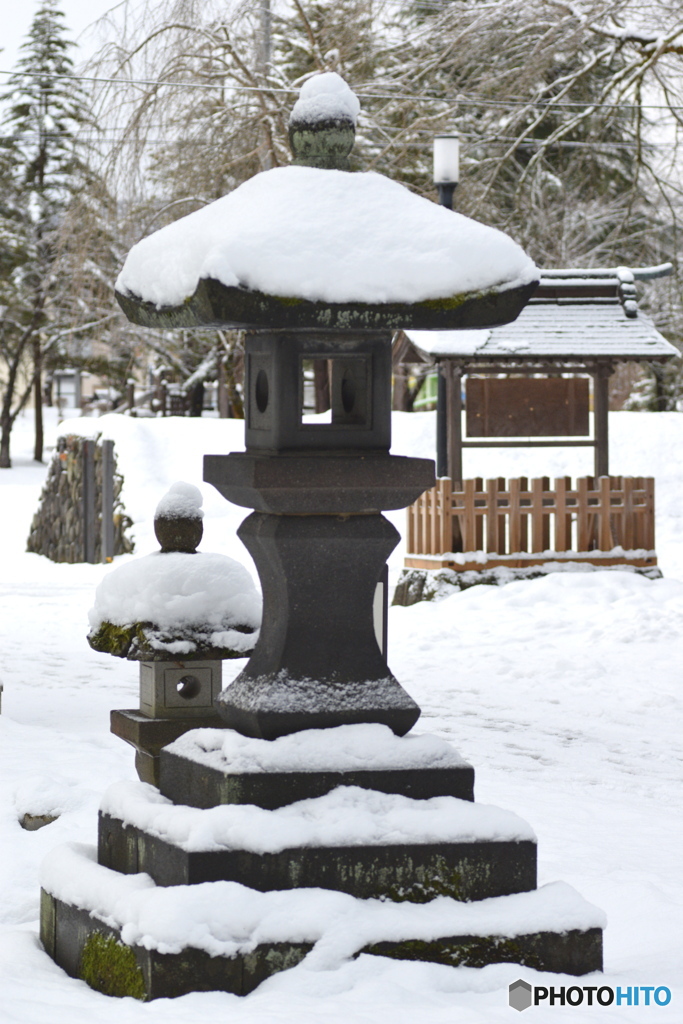 朝のお散歩