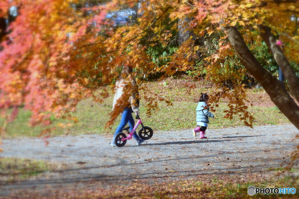 公園でお散歩