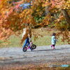 公園でお散歩