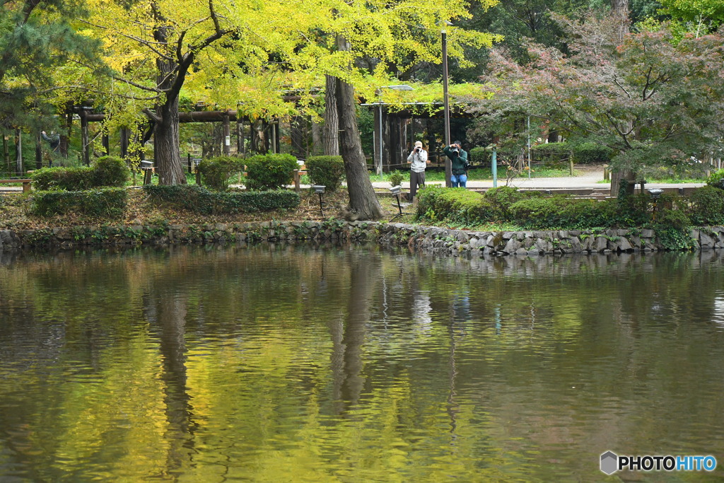 今日の薬師池公園