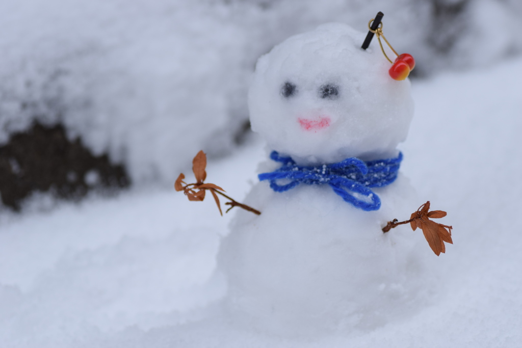 今朝は吹雪でした