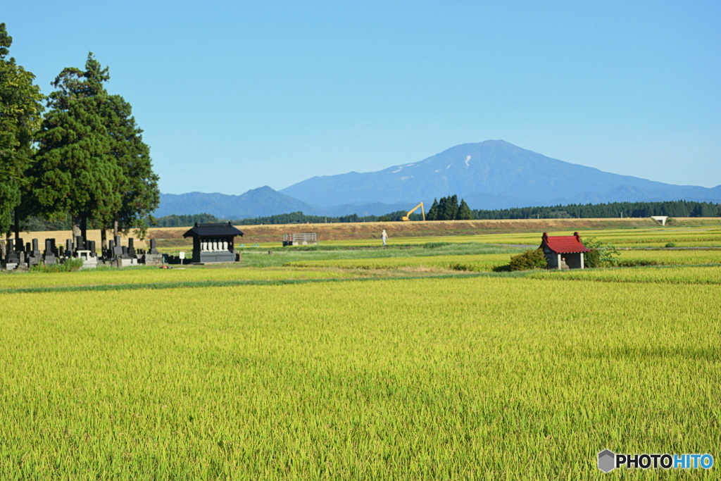 今朝の 鳥海山