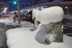 頭の雪が、重いです