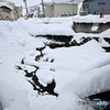 雪投げ