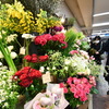 お花屋さん