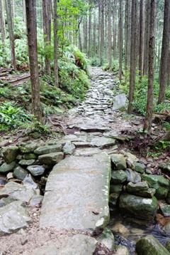 熊野古道　馬越峠