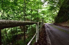 細道
