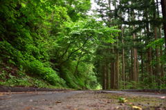 林道