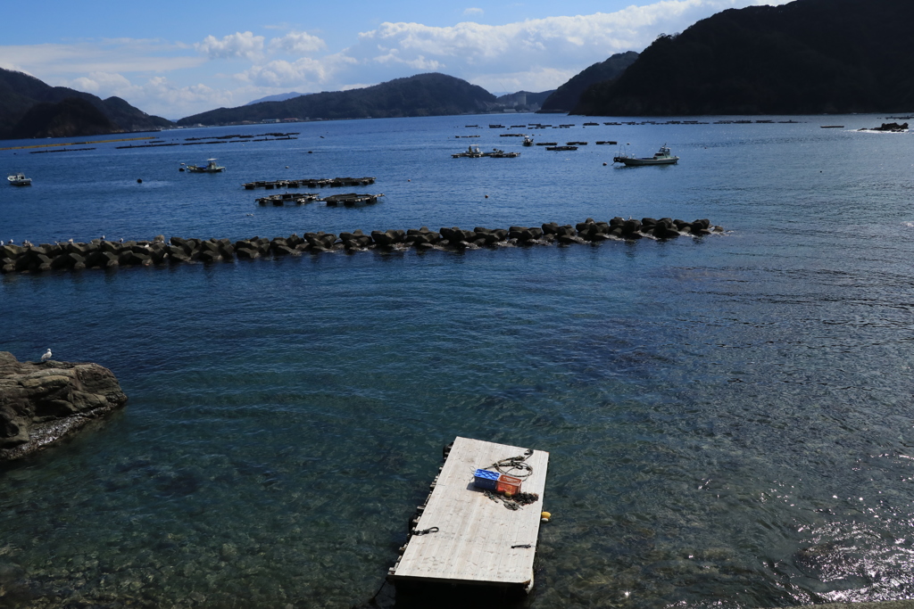 春海