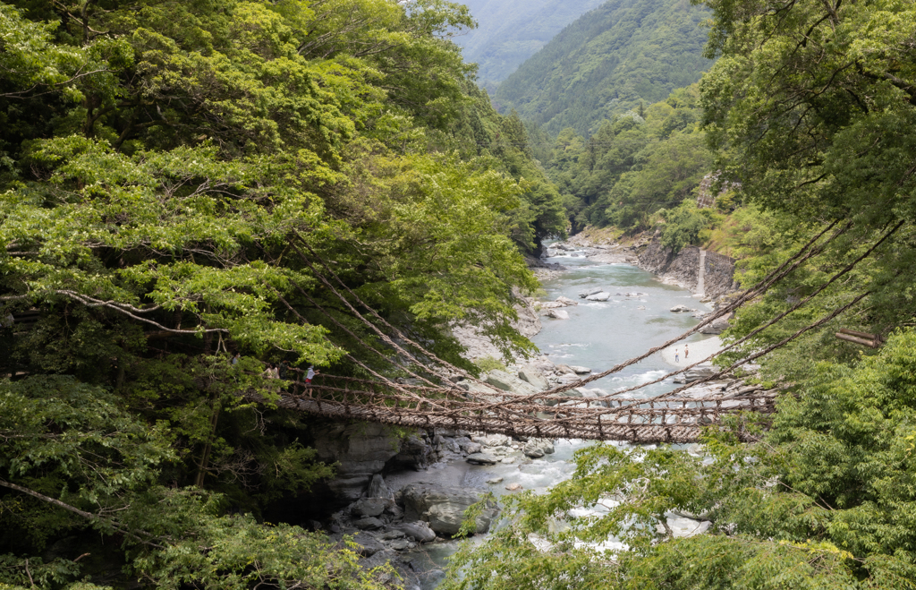 初夏の祖谷渓