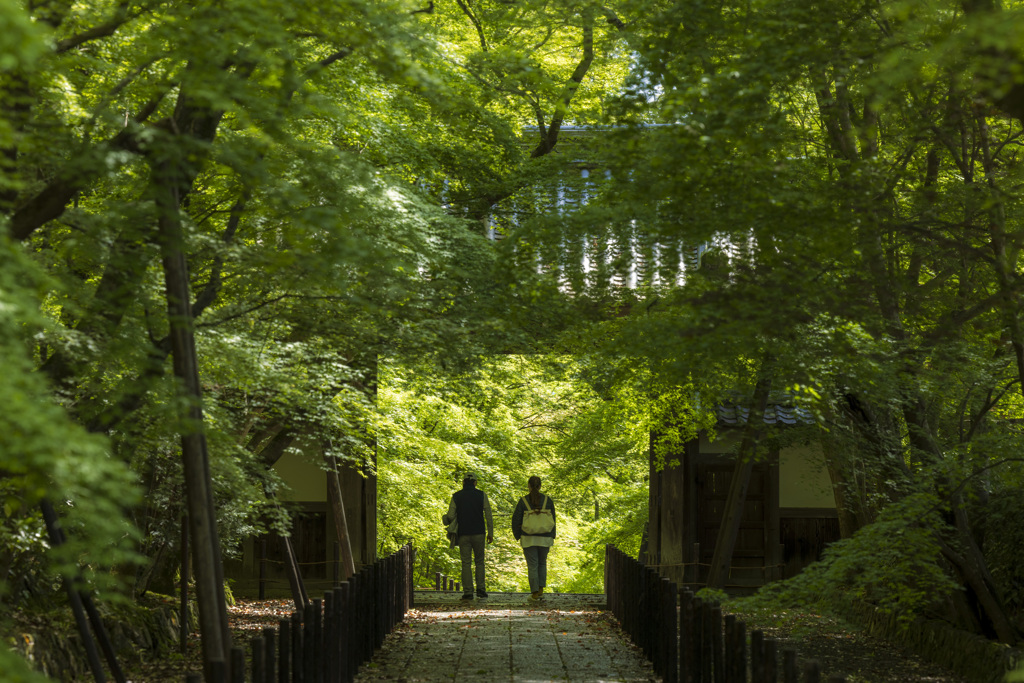新緑の参門