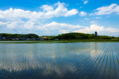 梅雨の中休み