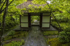 雨の常寂光寺