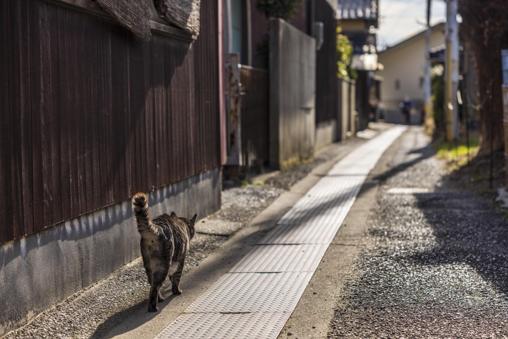 島の路地裏