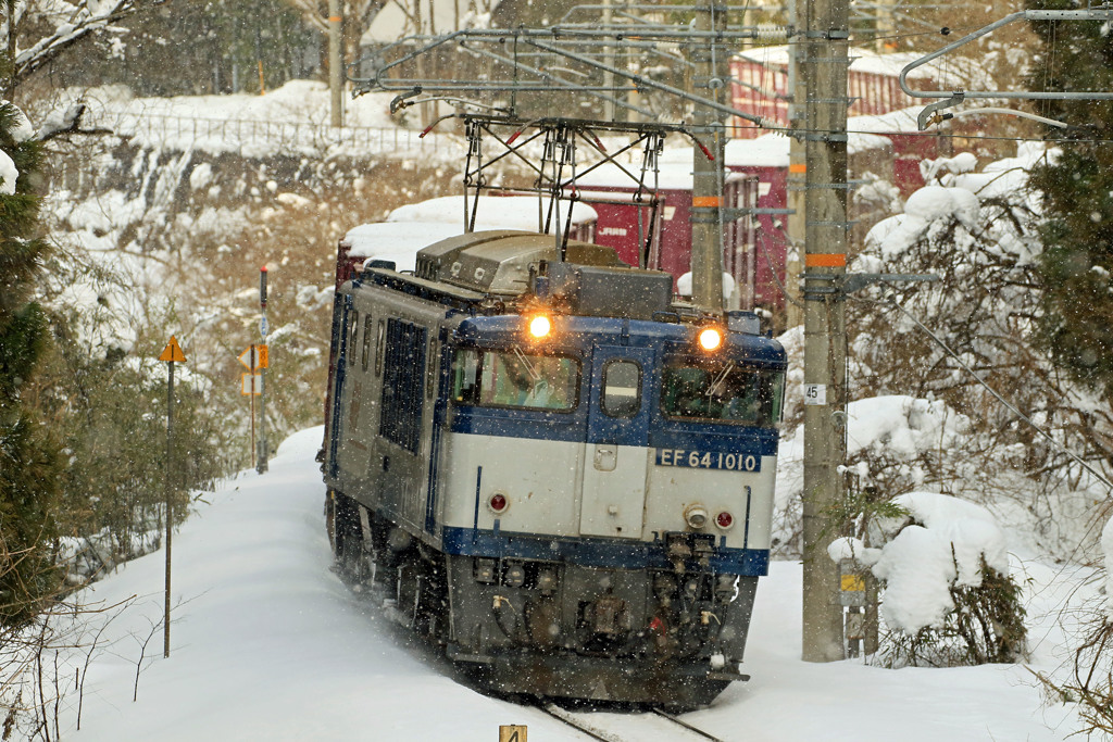 雪の中を行く