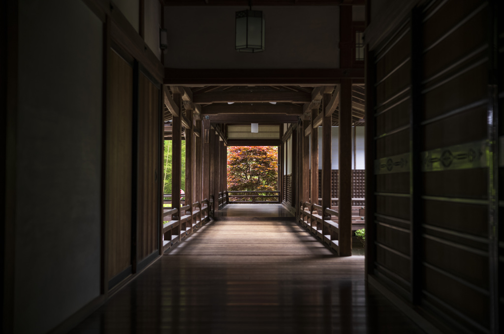 本坊の緑