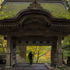 大山寺の紅葉