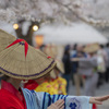 桜祭り