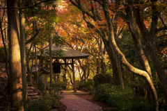 三瀧寺の参道