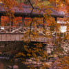 紅葉の橋