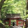 新緑の貴船神社