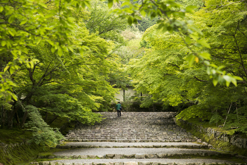 いい旅になるといいですね。