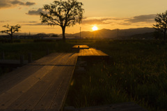 橋、照らす夕陽。