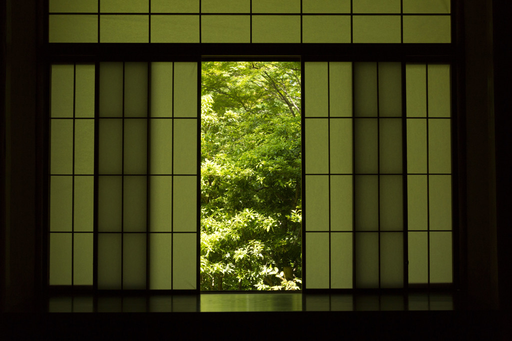 緑窓