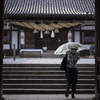 夏の阿智神社