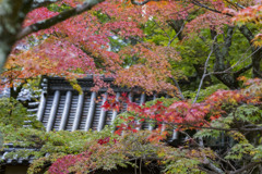 井山宝福寺の紅葉