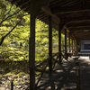 新緑の佛通寺