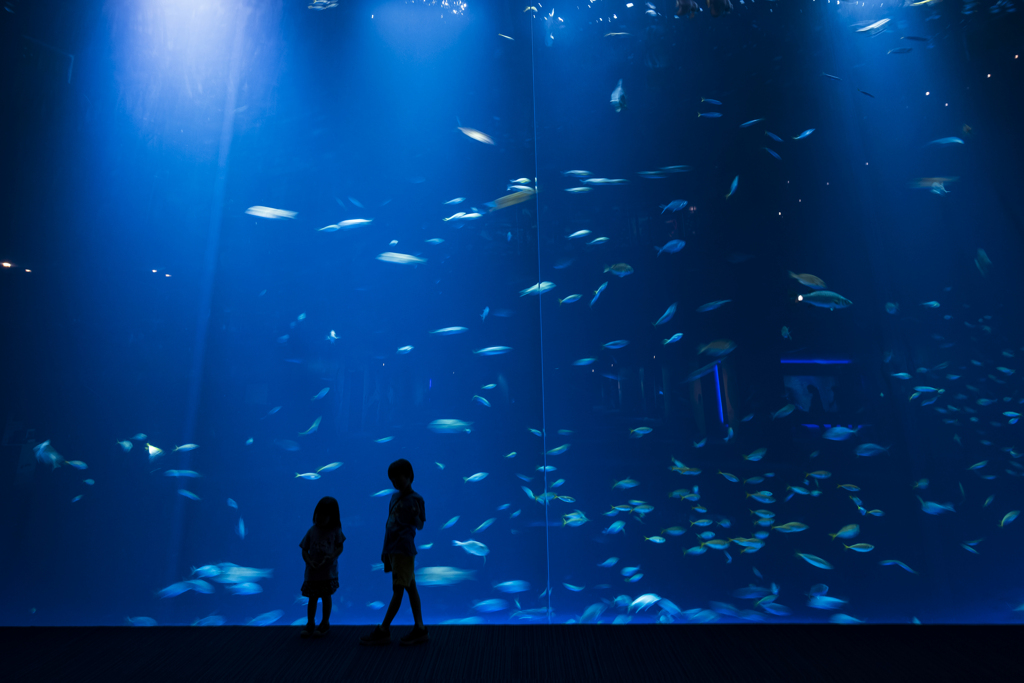 水族館
