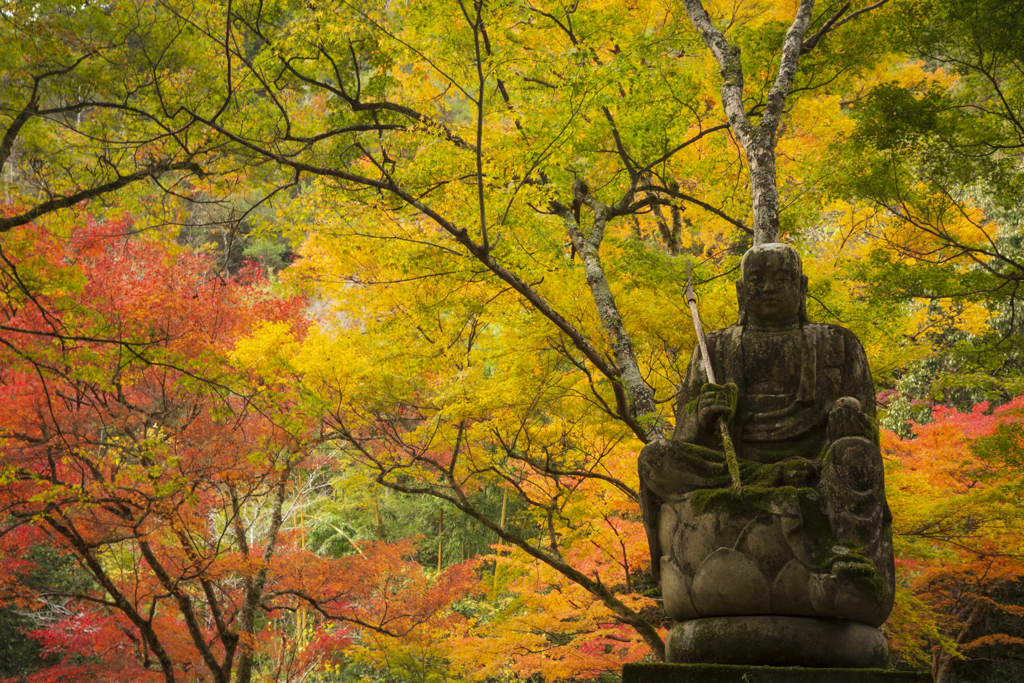 佛通寺の紅葉