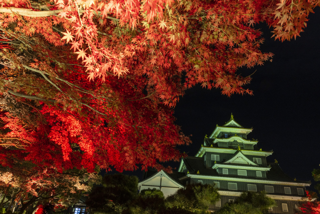 紅葉と岡山城