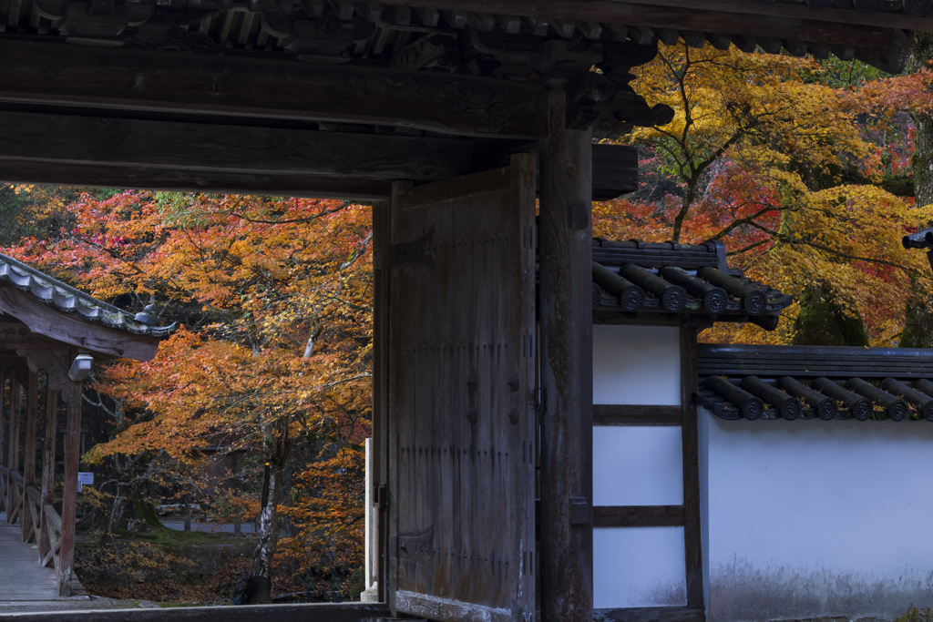 佛通寺紅葉