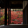濡れ縁から見える紅葉
