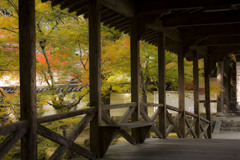 秋色の橋
