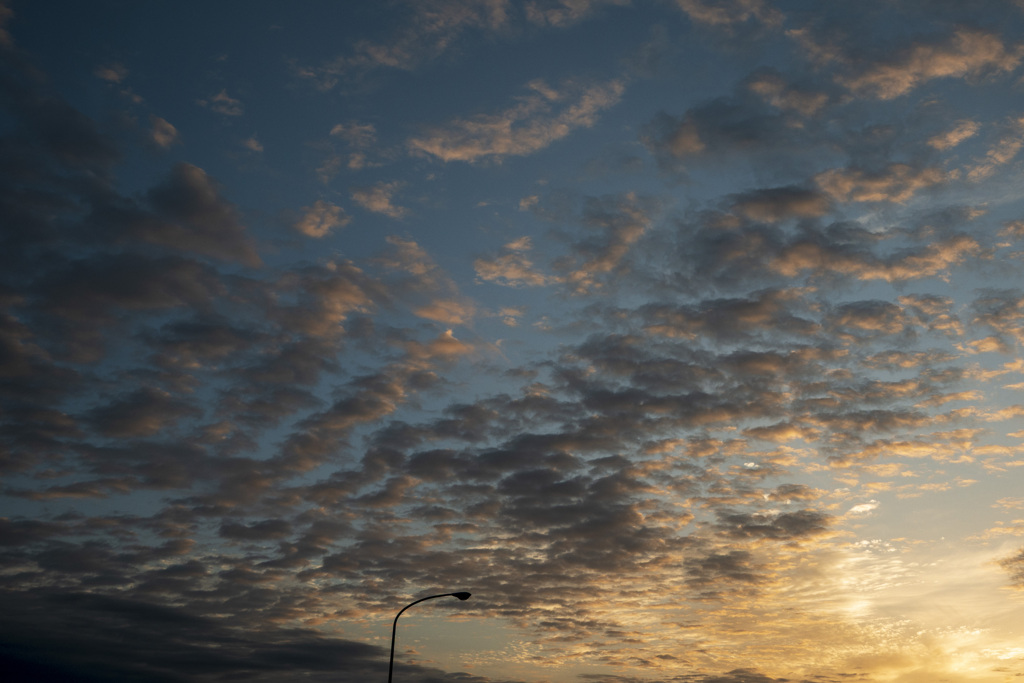 朝焼けのうろこ雲