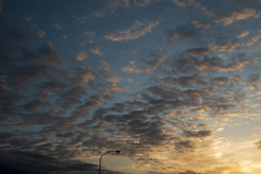 朝焼けのうろこ雲