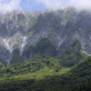 深緑の大山