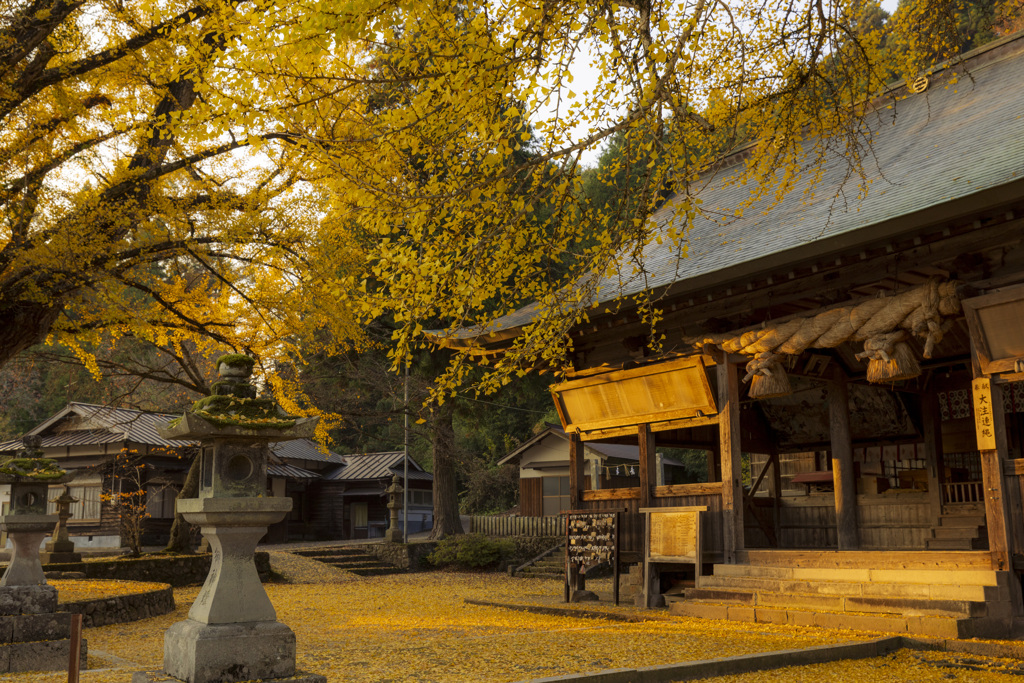 銀杏積もる福田神社