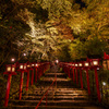 秋の貴船神社