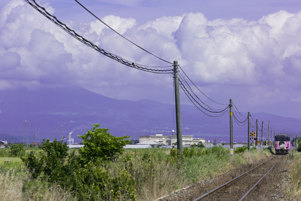 夏雲の下