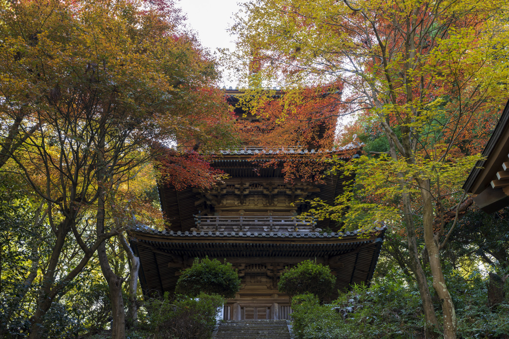 紅葉と三重の塔