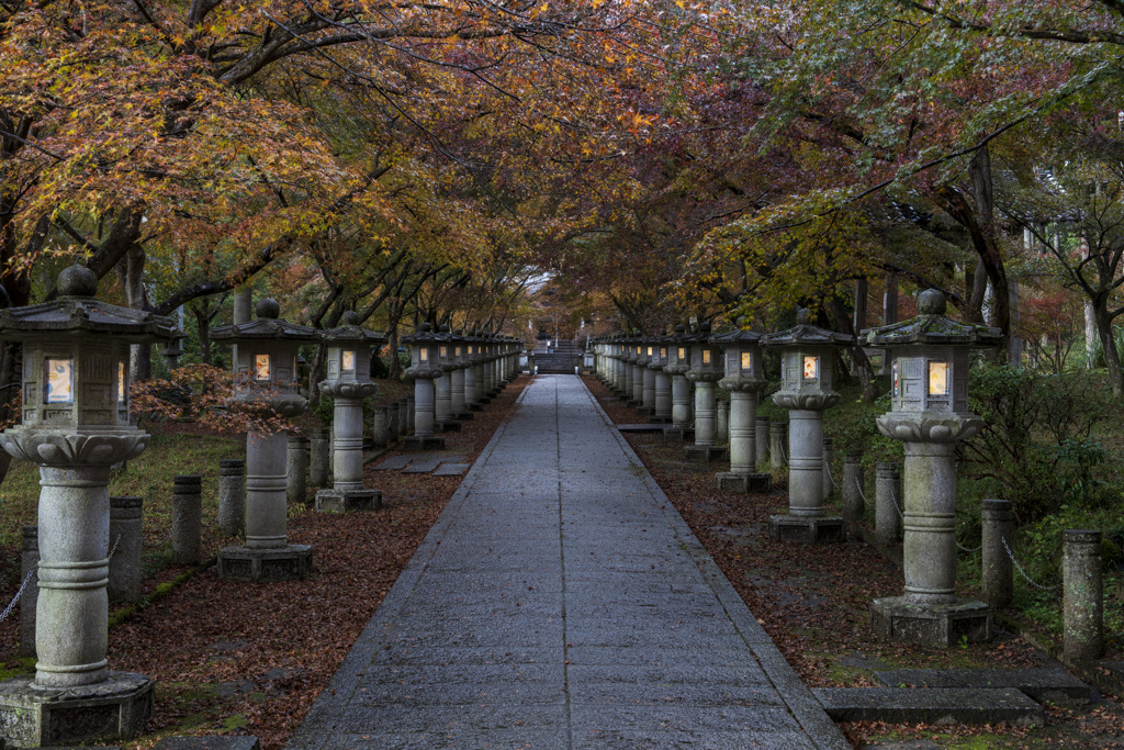 秋雨の高山寺