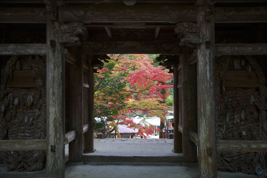 山門の紅葉