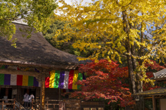 錦秋の竹林寺