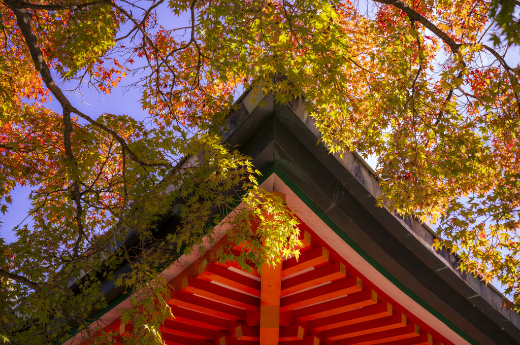 耕三寺の紅葉