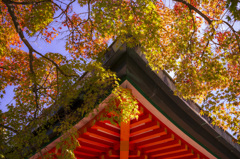耕三寺の紅葉
